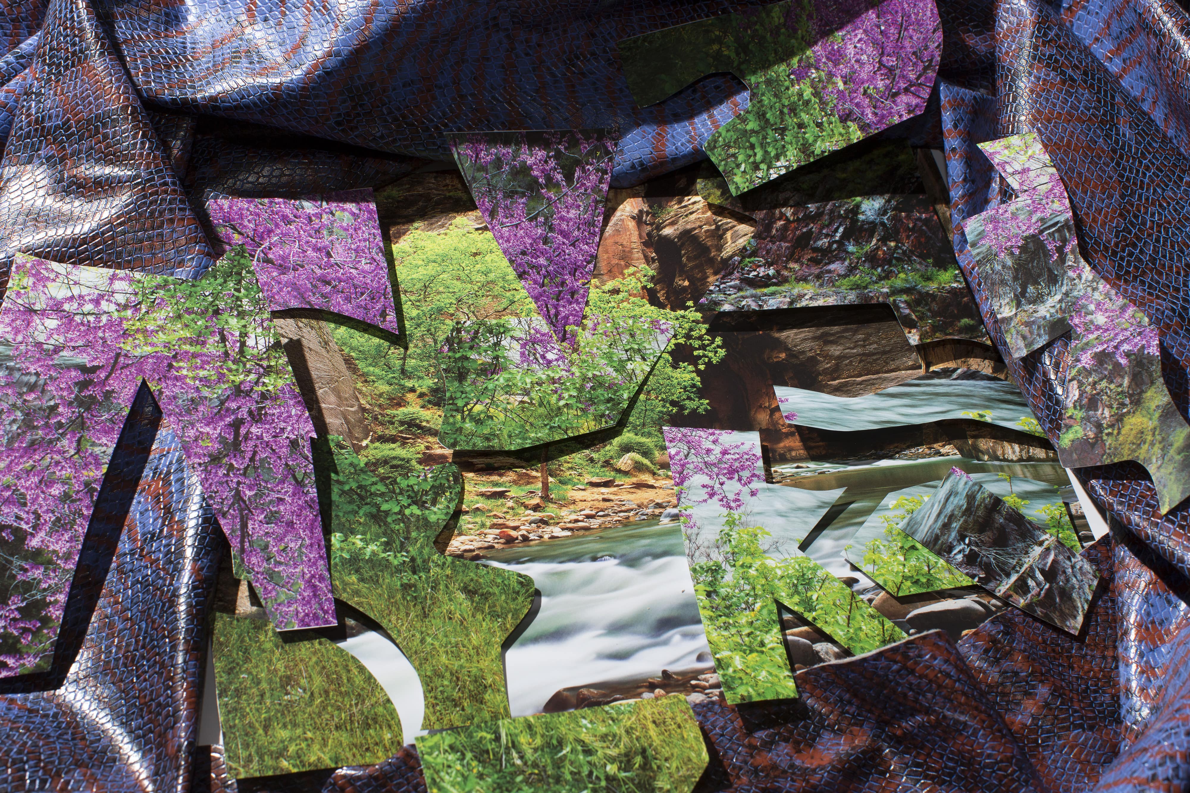 Snakeskin Waterfall